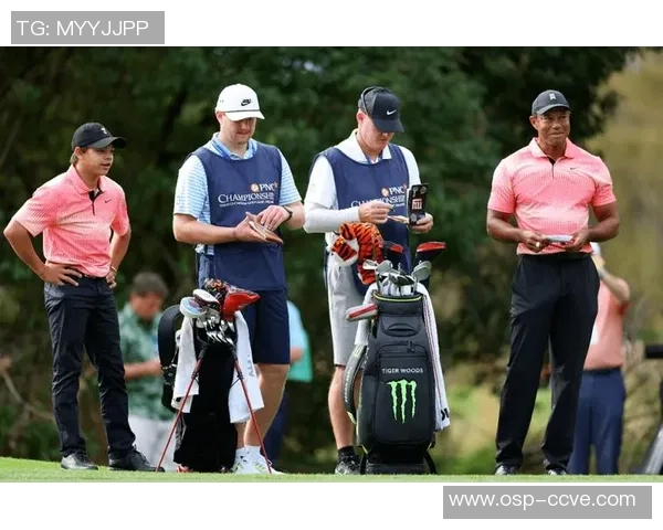 广州排球队的辉煌崛起与大师赛征程的精彩回顾