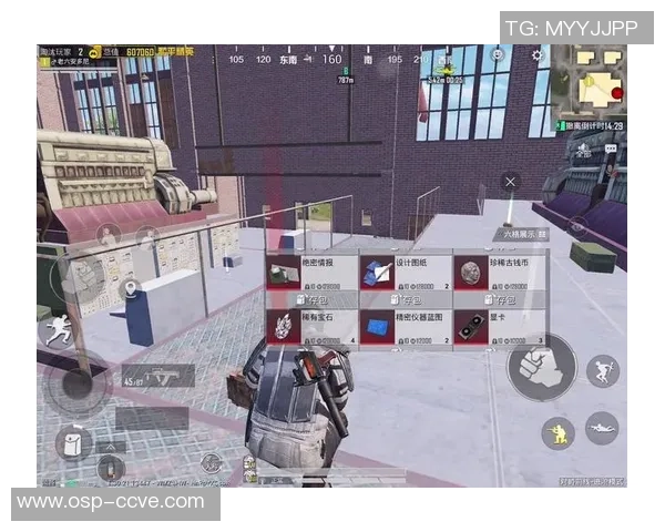 张芳专访：从新手到高手的和平精英成长之路回顾与展望