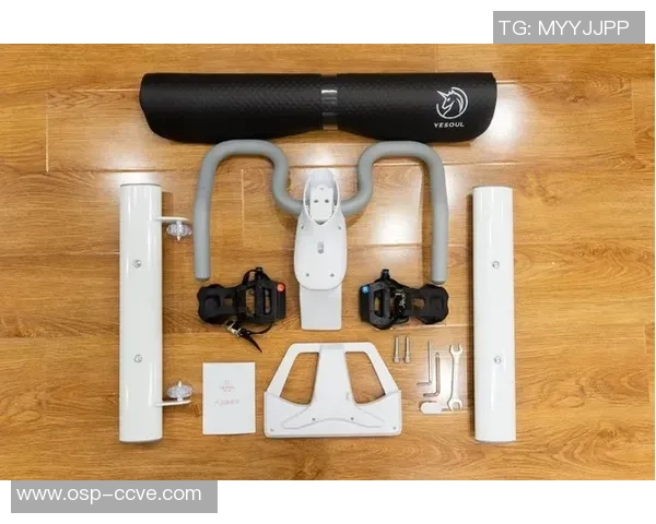 杭州极限运动队战术分析与阵地战打法深度解读 杭州极限运动队战术分析与阵地战打法深度解读