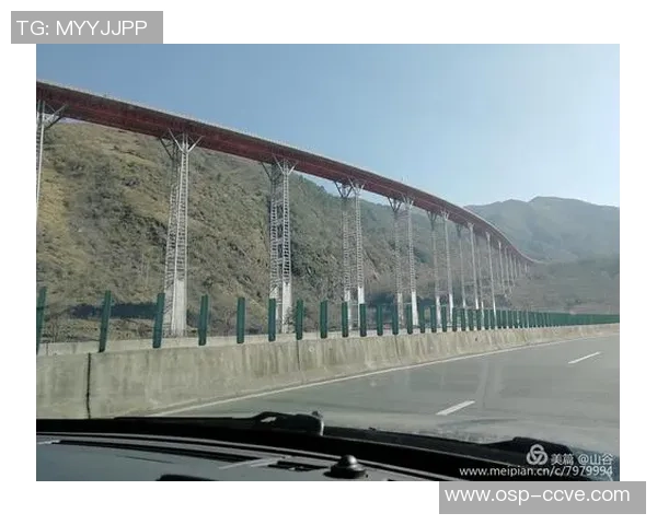 成都排球队状态分析与表现评估：数据透视与趋势解读